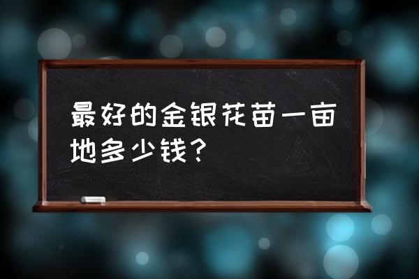 金银花种植有销路吗 最好的金银花苗一亩地多少钱？