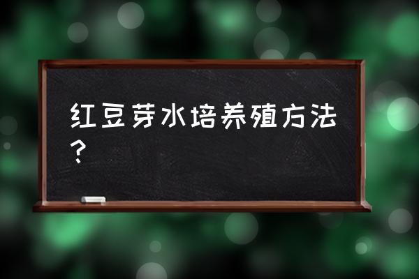 养豆芽的快速方法 红豆芽水培养殖方法？