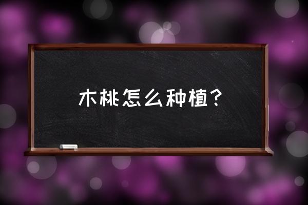 桃子种植方法什么时间最好 木桃怎么种植？