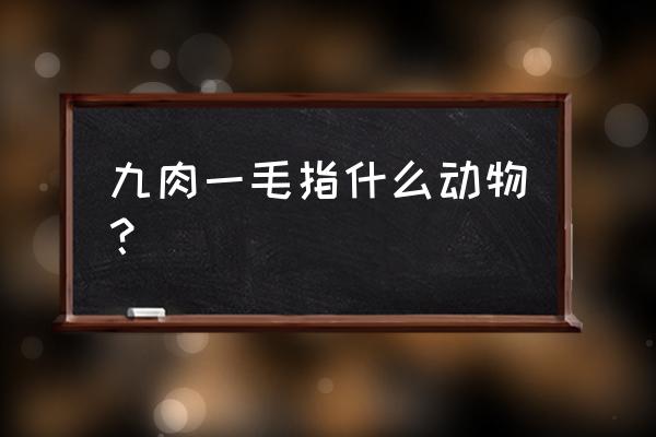 牦牛粪可以做什么药 九肉一毛指什么动物？