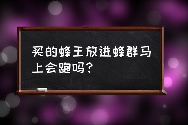 如何养蜜蜂蜂王不跑 买的蜂王放进蜂群马上会跑吗？