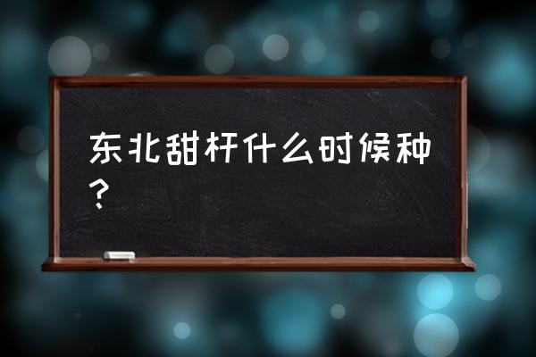 甜高粱什么时间种植最好 东北甜杆什么时候种？