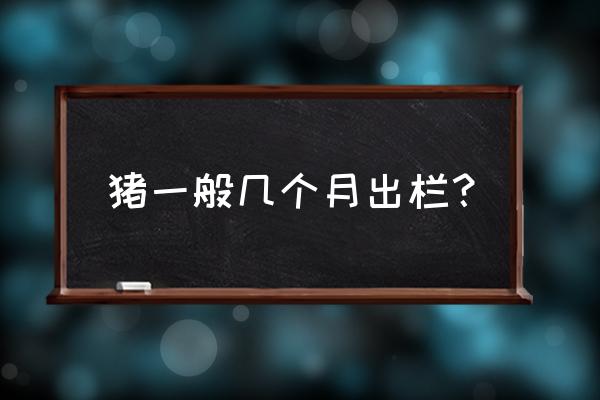 猪来了游戏怎么赚钱 猪一般几个月出栏？