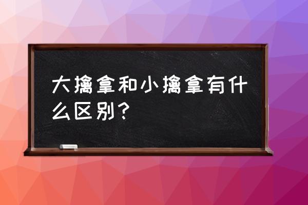 最强擒拿与反擒拿格斗招式 大擒拿和小擒拿有什么区别？