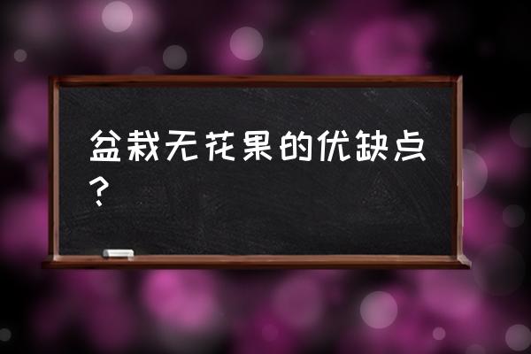 无花果盆栽养殖方法 盆栽无花果的优缺点？