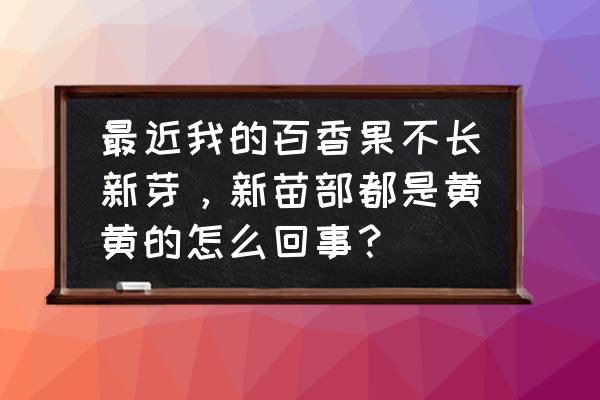 百香果不抽新芽是怎么回事 最近我的百香果不长新芽，新苗部都是黄黄的怎么回事？