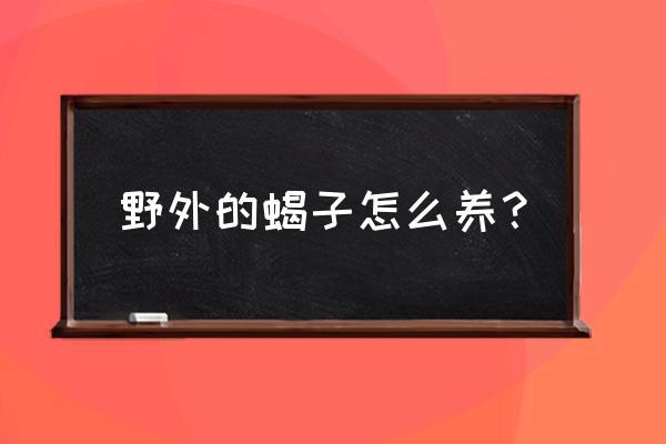 蝎子怎么养殖最简单 野外的蝎子怎么养？