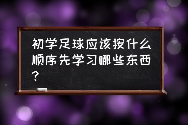 怎样零基础自学足球 初学足球应该按什么顺序先学习哪些东西？