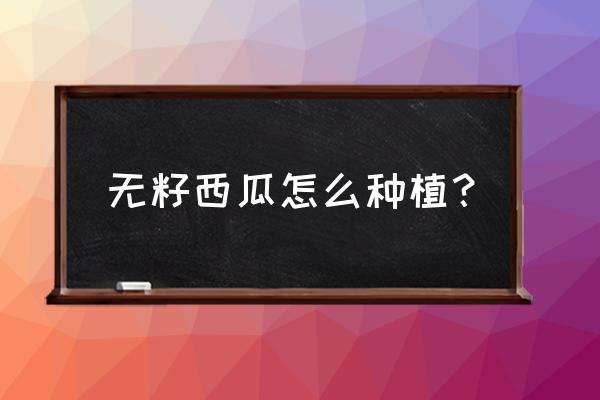 怎样用吃剩的西瓜籽种西瓜 无籽西瓜怎么种植？