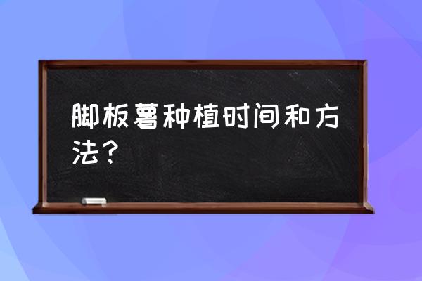 脚板薯可不可以每天早餐搭配着吃 脚板薯种植时间和方法？