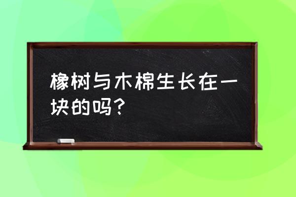 橡树冬天落不落叶 橡树与木棉生长在一块的吗？