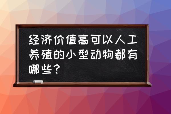 什么样的小型鸡最好饲养 经济价值高可以人工养殖的小型动物都有哪些？