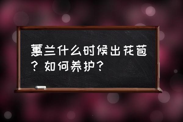 王者荣耀怎么触发花朵掉落 蕙兰什么时候出花苞？如何养护？