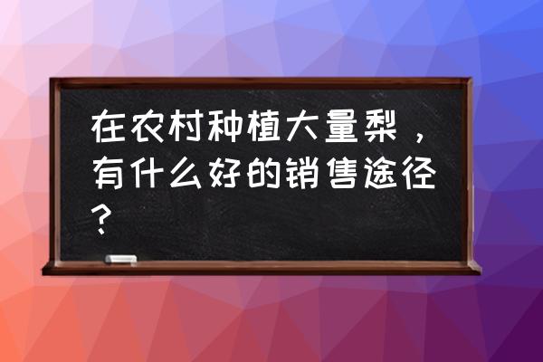 梨的销售方法有哪些 在农村种植大量梨，有什么好的销售途径？