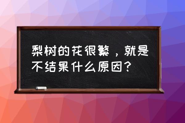 梨树开花少挂果怎么解决 梨树的花很繁，就是不结果什么原因？