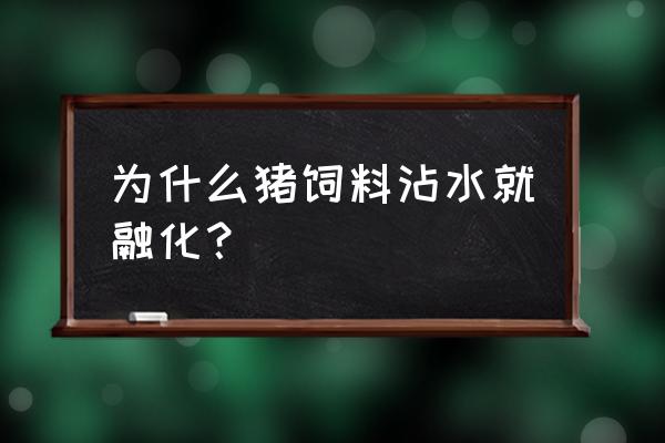 粘土做可爱的猪猪 为什么猪饲料沾水就融化？