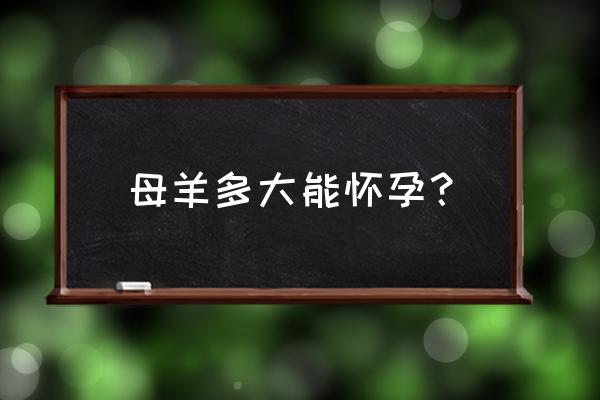 羊的人工授精操作技术的实验步骤 母羊多大能怀孕？