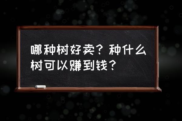 种什么树最好最赚钱 哪种树好卖？种什么树可以赚到钱？