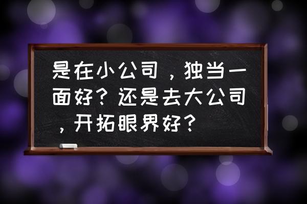 如何开拓职场眼界 是在小公司，独当一面好？还是去大公司，开拓眼界好？