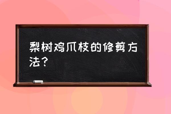 盆景鸡爪形怎样修剪 梨树鸡爪枝的修剪方法？