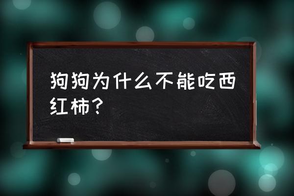 西红柿忌什么同食 狗狗为什么不能吃西红柿？