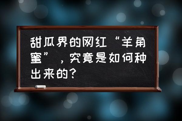 羊角蜜种植方法全过程 甜瓜界的网红“羊角蜜”，究竟是如何种出来的？