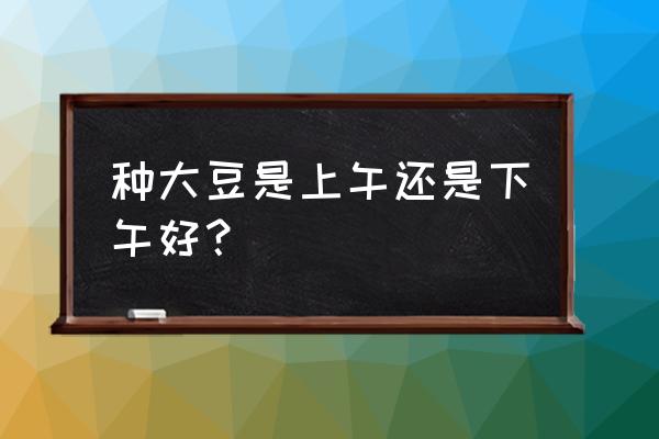 黄豆的播种时间和方法 种大豆是上午还是下午好？