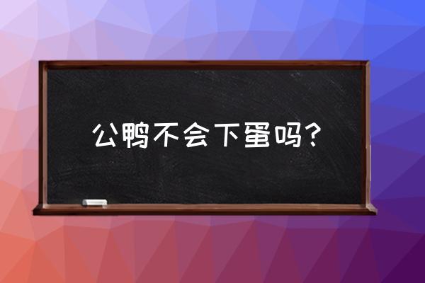 怎么辨别母鸭是否下蛋 公鸭不会下蛋吗？