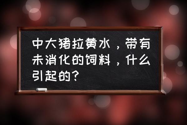 猪吐黄水粘液不吃食怎么治 中大猪拉黄水，带有未消化的饲料，什么引起的？