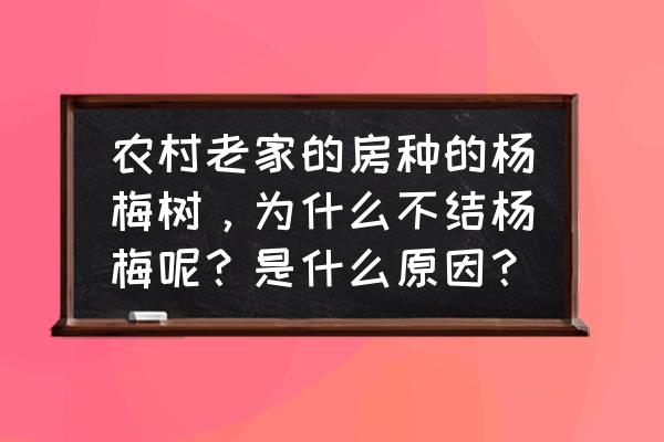 杨梅树不开花不结果怎么办 农村老家的房种的杨梅树，为什么不结杨梅呢？是什么原因？