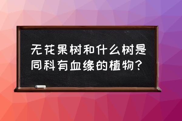 天牛怎么辨别出公母 无花果树和什么树是同科有血缘的植物？