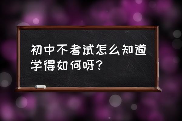 一年级无纸笔测试是什么意思 初中不考试怎么知道学得如何呀？