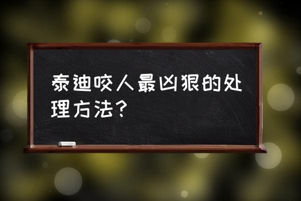 老板如何敲打不听话的下属 泰迪咬人最凶狠的处理方法？