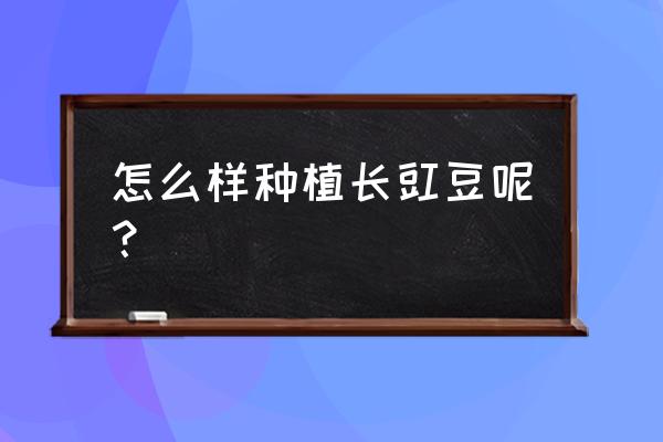 东北油豆角北京地区几月份种植 怎么样种植长豇豆呢？