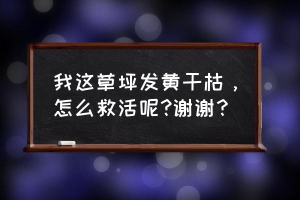 草坪发黄枯萎的原因及解决方法 我这草坪发黄干枯，怎么救活呢?谢谢？