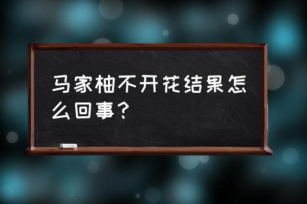 马家柚树苗怎么修剪 马家柚不开花结果怎么回事？