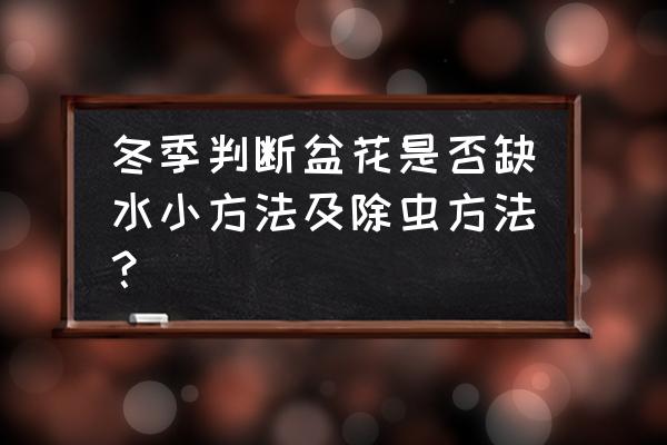 花卉冬季需要杀虫吗 冬季判断盆花是否缺水小方法及除虫方法？