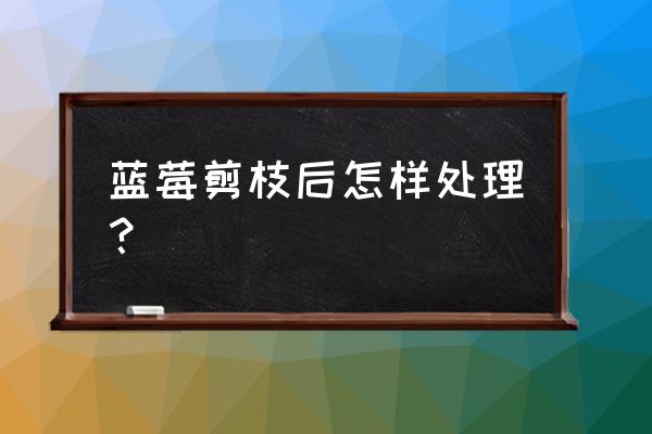 蓝莓采摘后怎样管理 蓝莓剪枝后怎样处理？