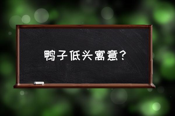 怎样加入远大小状元班级 鸭子低头寓意？