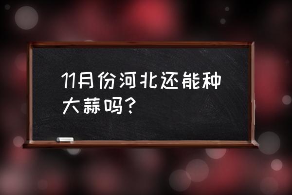 冬季大蒜最佳种植时间 11月份河北还能种大蒜吗？