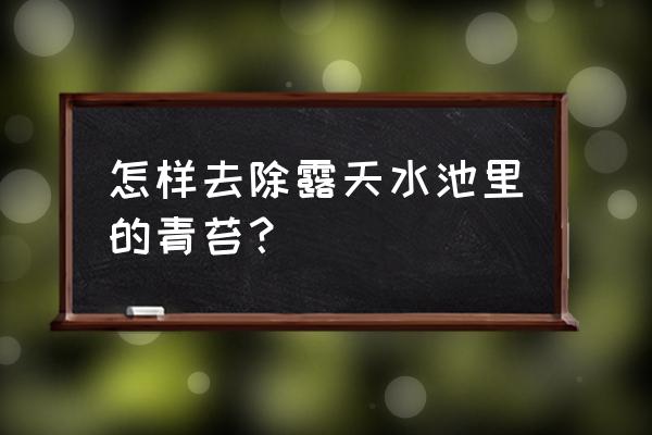 家里水池清除青苔最轻松的方法 怎样去除露天水池里的青苔？