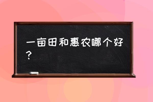 惠农网怎么增加流量 一亩田和惠农哪个好？