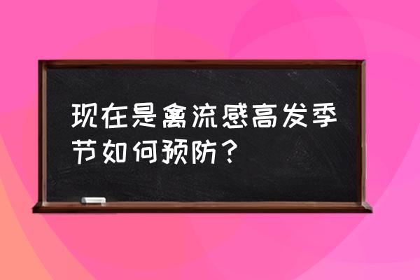 禽流感预防的三大原则 现在是禽流感高发季节如何预防？