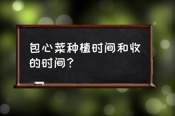 动物之森大头菜种子怎么获得 包心菜种植时间和收的时间？