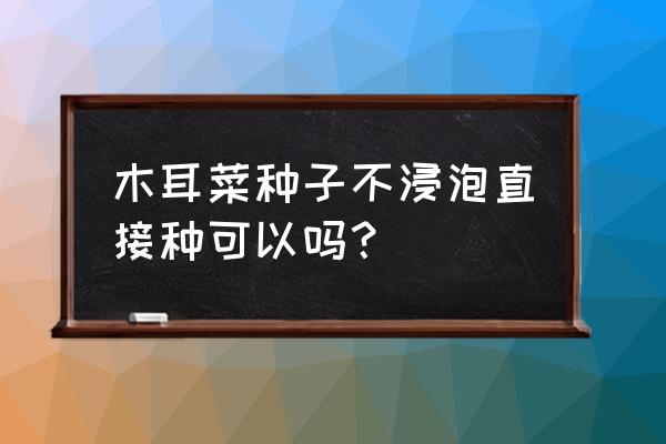 怎么种木耳菜长得快 木耳菜种子不浸泡直接种可以吗？