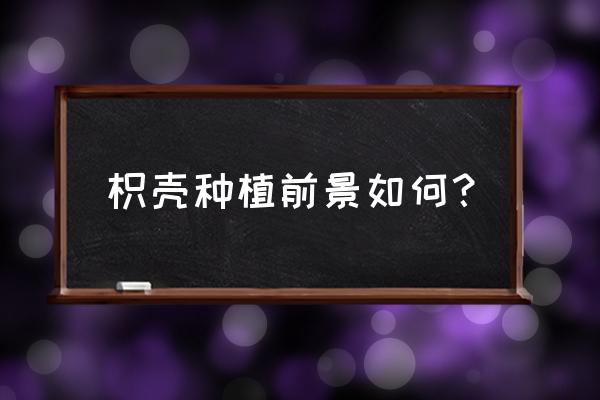 枳壳烘干技术 枳壳种植前景如何？