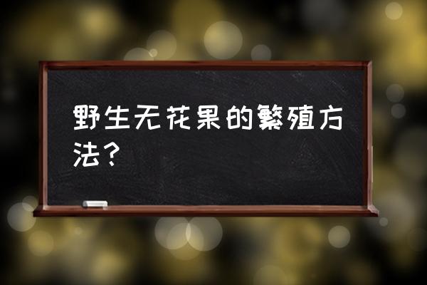 8年的无花果树苗有多大 野生无花果的繁殖方法？