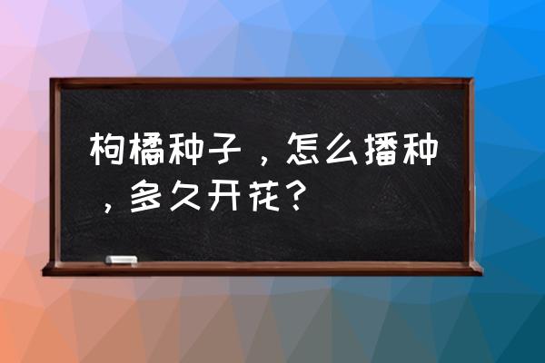 枳壳的最佳种植时间 枸橘种子，怎么播种，多久开花？