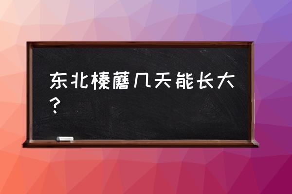 东北的榛蘑有人工种植吗 东北榛蘑几天能长大？