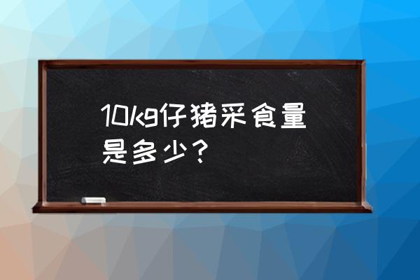 怎样算采食量计算公式 10kg仔猪采食量是多少？